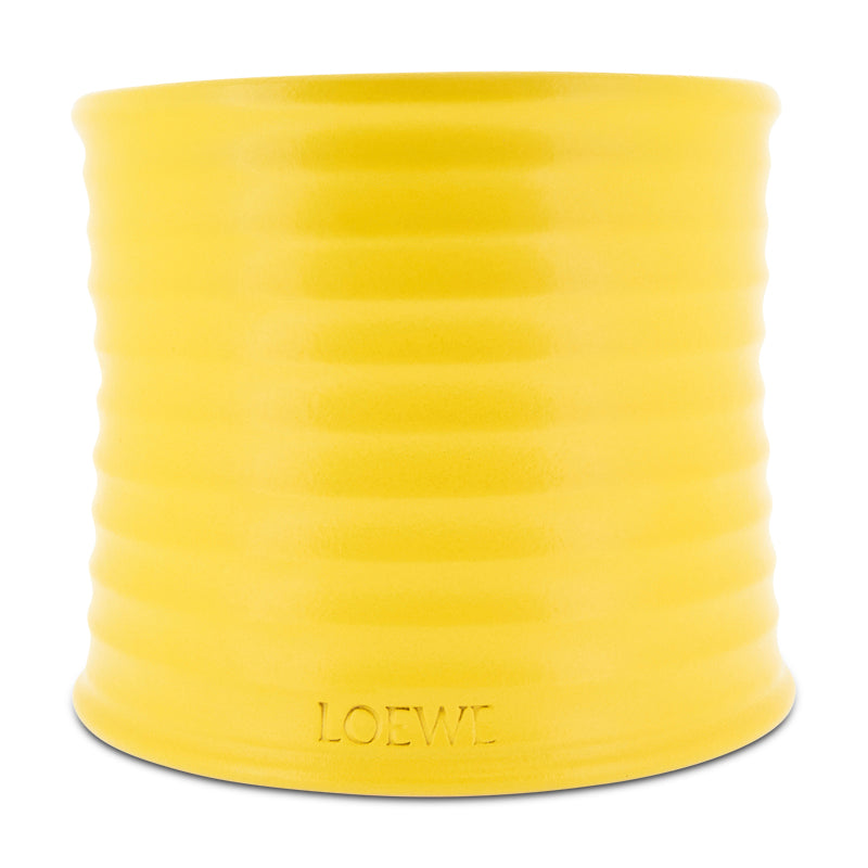 Loewe Wasabi Scented Candle Medium 610g