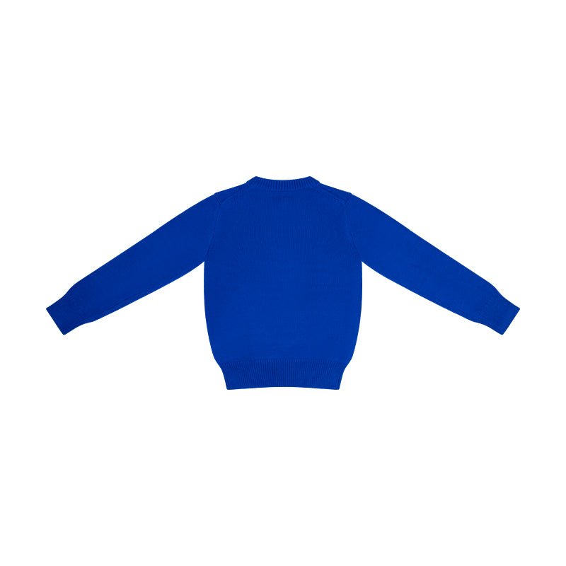 Ralph Lauren Polo Cotton Cashmere Jumper Blue