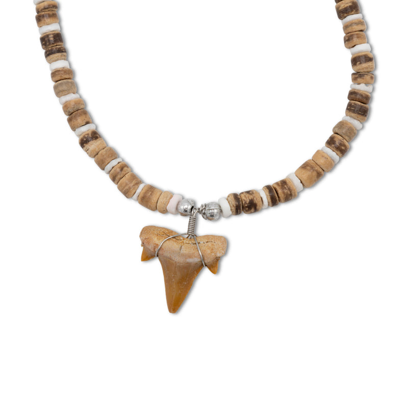 Sharks Tooth Necklace By Cool Jewels - Choose Colour