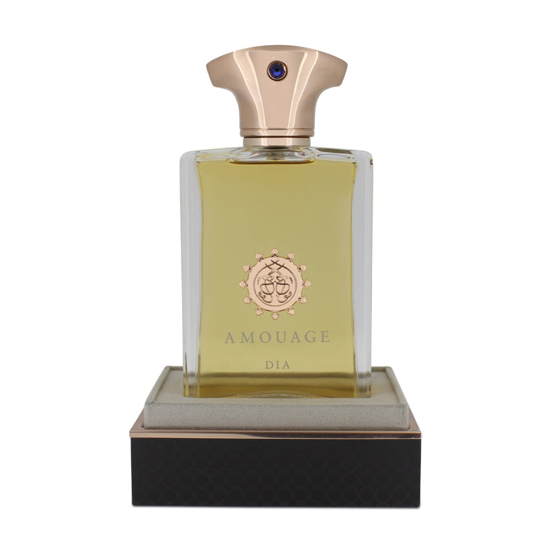 Amouage Dia 100ml Eau De Parfum Pour Homme