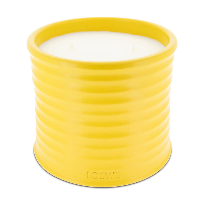 Loewe Wasabi Scented Candle Medium 610g