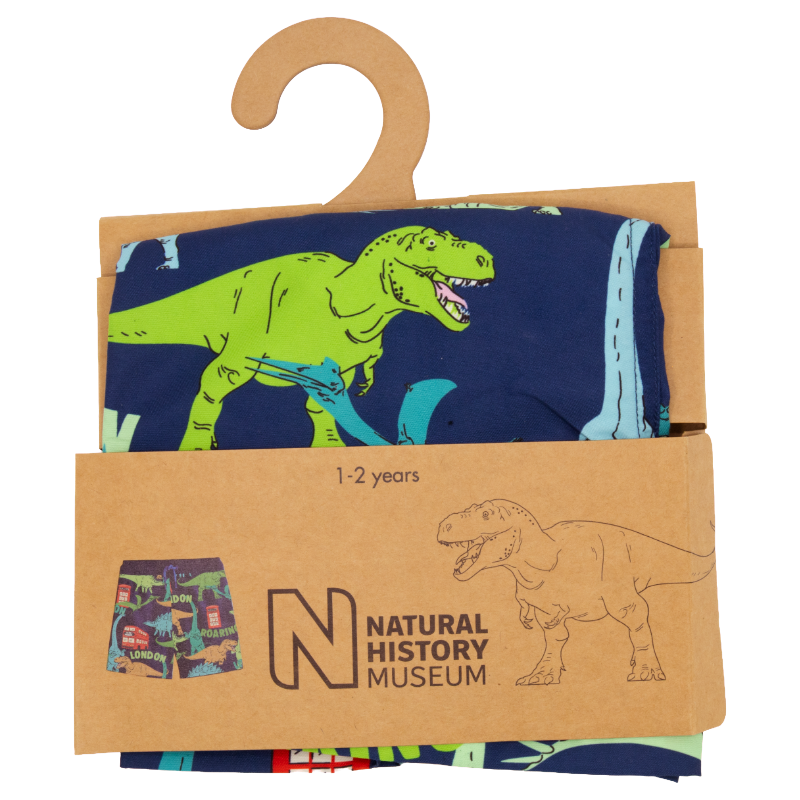 Natural History Museum Dinosaur Blue 100% Cotton Kids Swimming Shorts 1-2 Years
