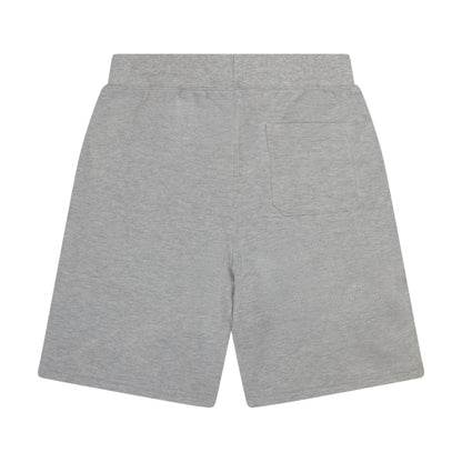 Ralph Lauren Polo Mesh Shorts | Grey Heather