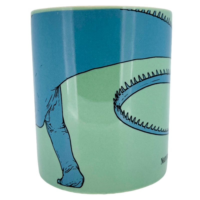 Natural History Museum London Diplodocus Mug 330ml