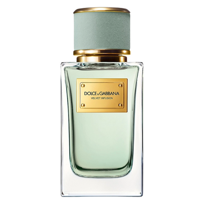 Dolce & Gabbana Velvet Infusion 100ml Eau De Parfum