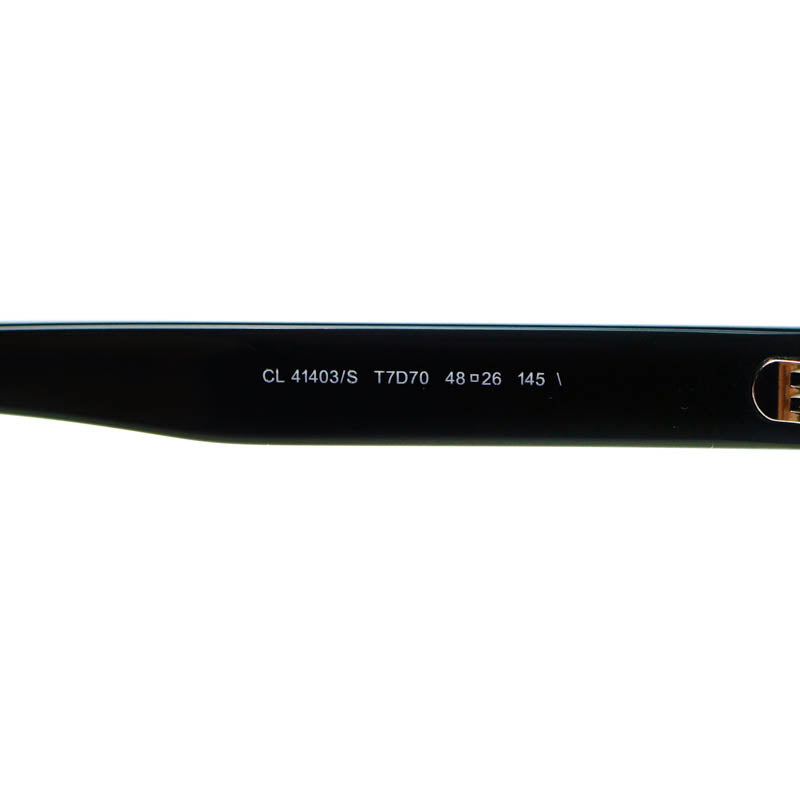 Celine Agnes Black Ladies Sunglasses CL41403/S