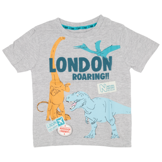 Natural History Museum London Roaring Dinosaur Grey Marl 100% Cotton Kids T-Shirt 1-2 Years