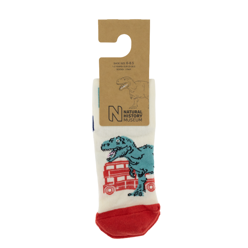 Natural History Museum Dinosaur Kids Socks
