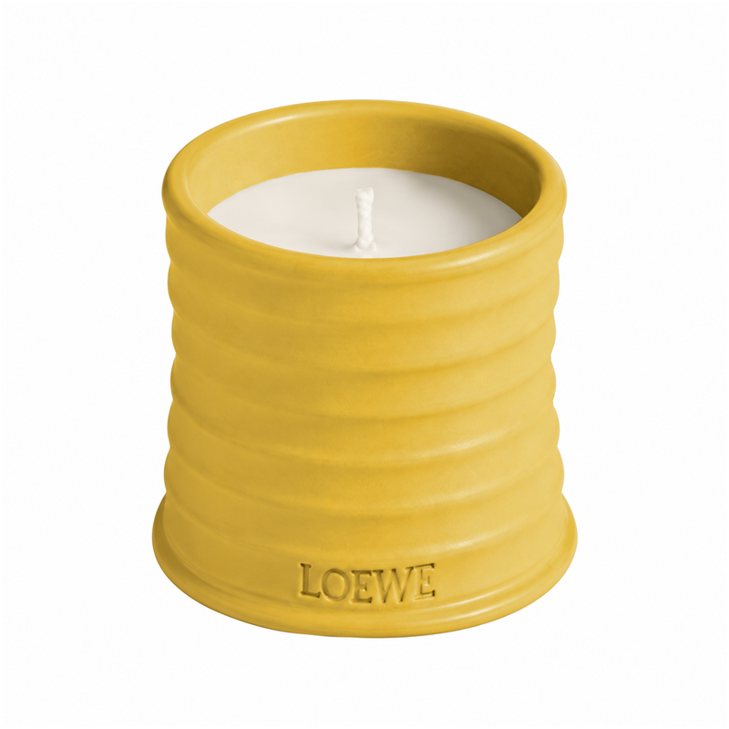 Loewe Wasabi Scented Candle 170g