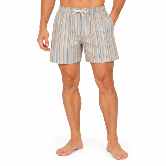 Fynch-Hatton Mens Swim Shorts Multicolour Pinstripes