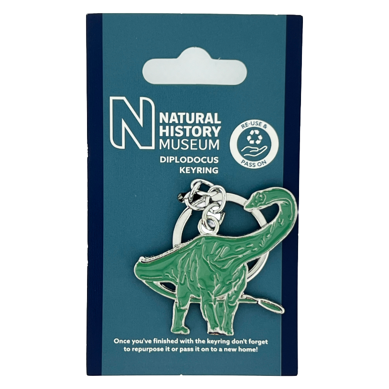 Natural History Museum Diplodocus Dinosaur Keyring