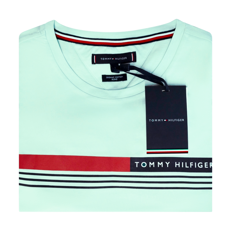 Tommy Hilfiger Men's Logo T-Shirt Mint Green 