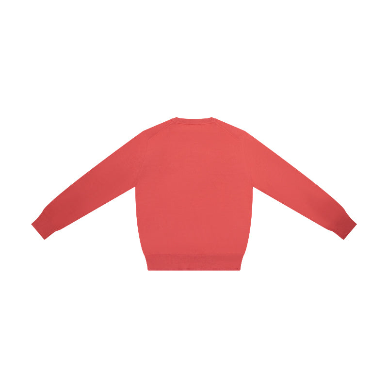 Ralph Lauren Polo Cotton Crewneck Jumper Red