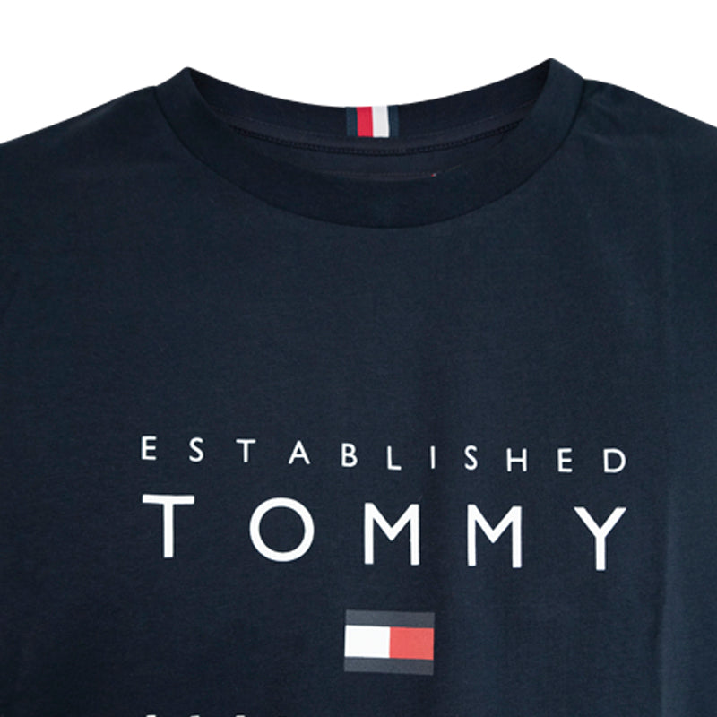 Tommy Hilfiger Established Stacked T-Shirt Desert Sky Extra Large