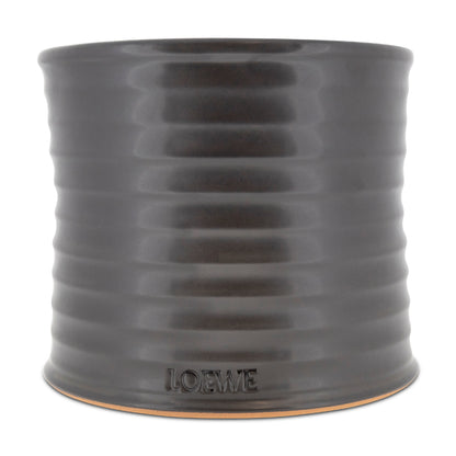 Loewe Roasted Hazelnut Scented Candle 610g Medium