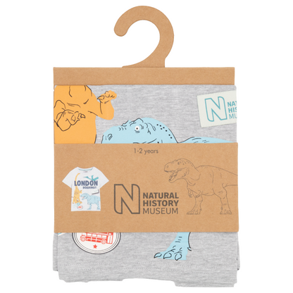 Natural History Museum London Roaring Dinosaur Grey Marl 100% Cotton Kids T-Shirt 1-2 Years