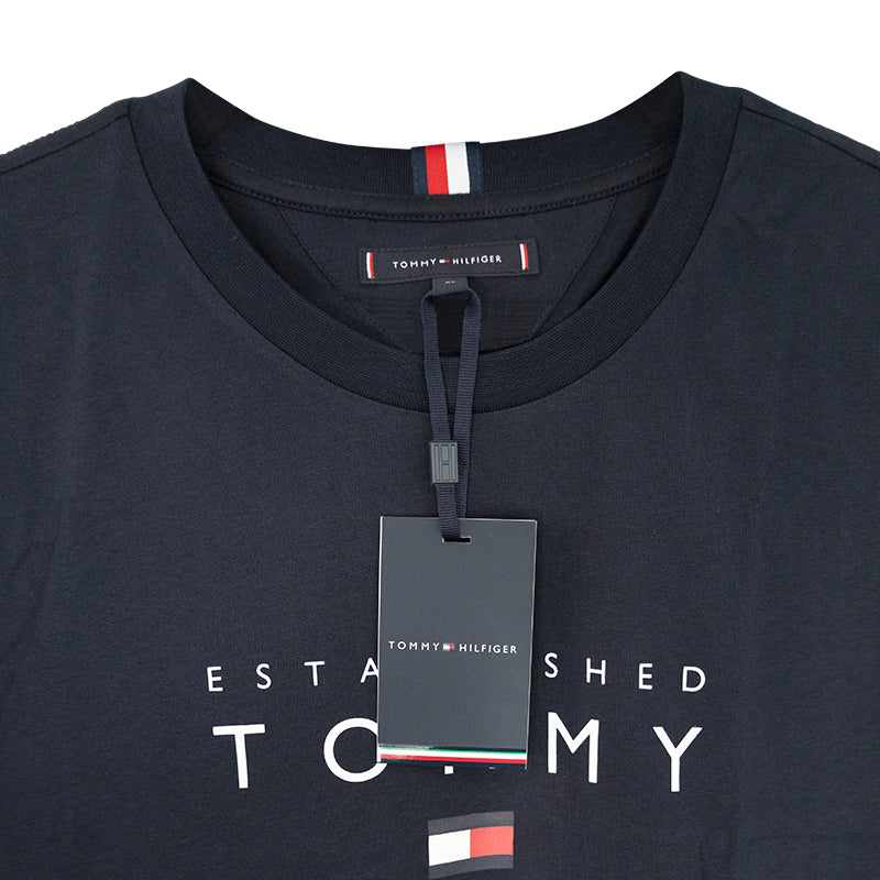 Tommy Hilfiger Established Stacked T-Shirt Desert Sky Extra Large