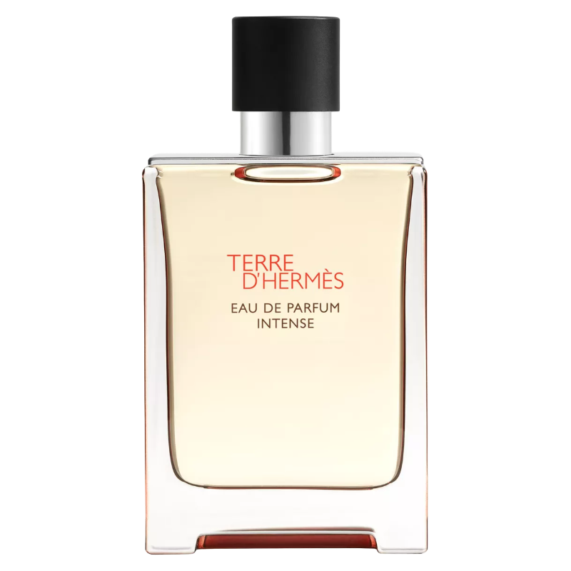 Hermes Terre D'Hermes 100ml Eau De Parfum Intense
