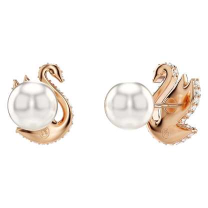 Swarovski Iconic Swan Rose Gold Tone & Black Crystal Earrings 5689659