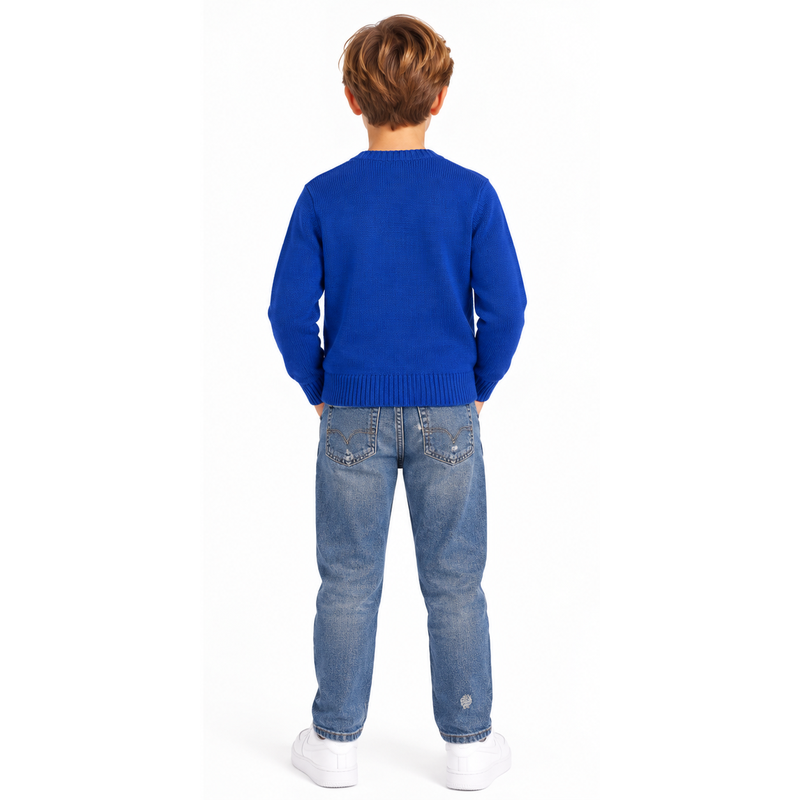 Ralph Lauren Polo Bear Cotton Rib-Knit Jumper Blue Boys