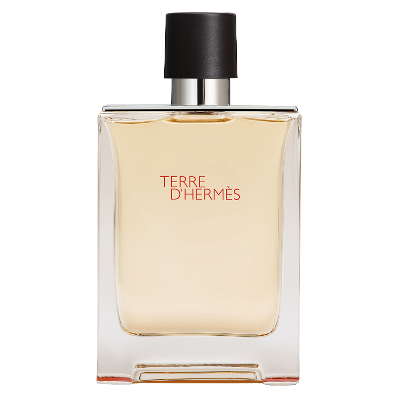 Hermes Terre D'hermes 100ml Eau De Toilette |