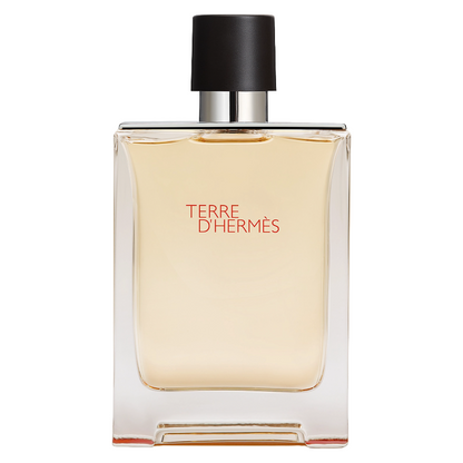 Hermes Terre D'hermes 100ml Eau De Toilette |