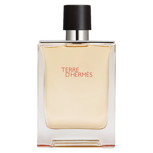 Hermes Terre D'hermes 100ml Eau De Toilette |