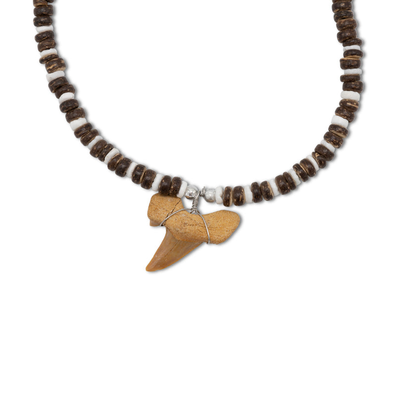 Sharks Tooth Necklace By Cool Jewels - Choose Colour